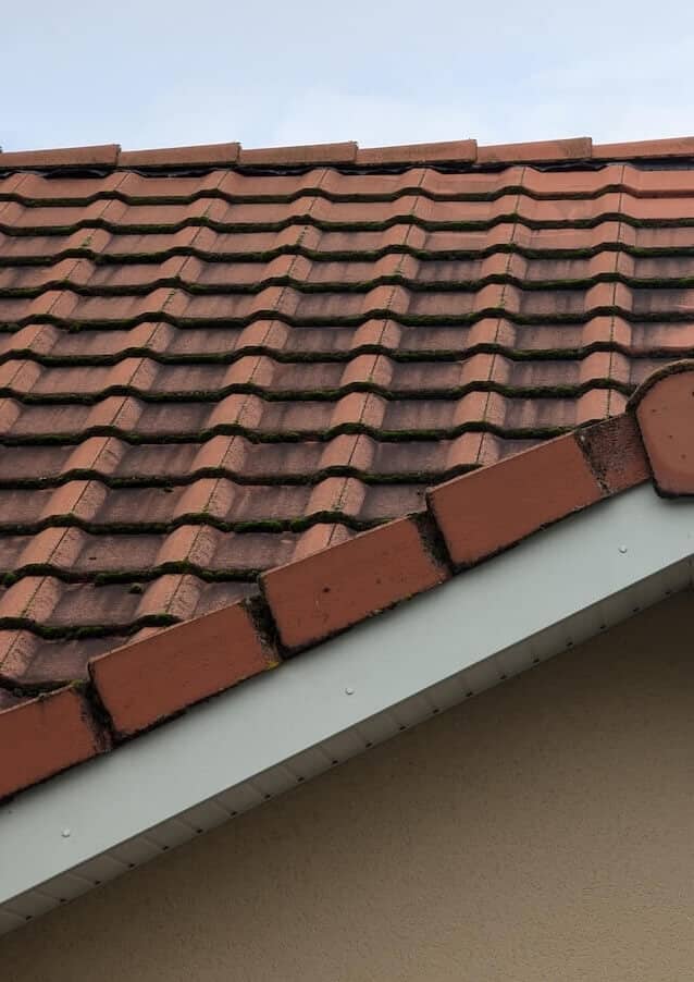 AVANT Nettoyage d'une toiture à la vapeur basse pression à Nancy